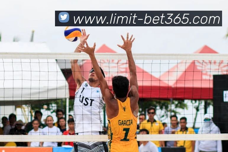 App Interface Preview